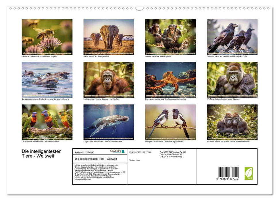 Die intelligentesten Tiere - Weltweit (CALVENDO Premium Wandkalender 2027)