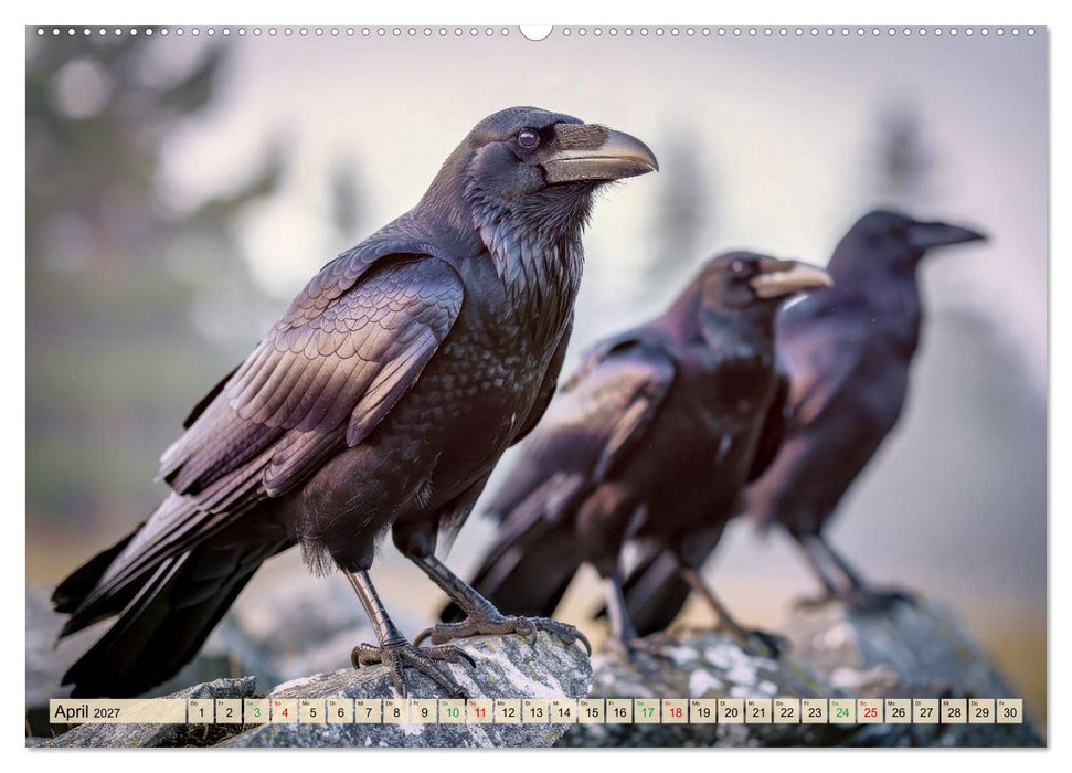Die intelligentesten Tiere - Weltweit (CALVENDO Premium Wandkalender 2027)