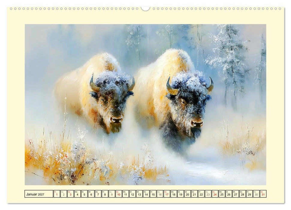 Bisons. Nordamerikas gewaltige Wildrinder (CALVENDO Premium Wandkalender 2027)