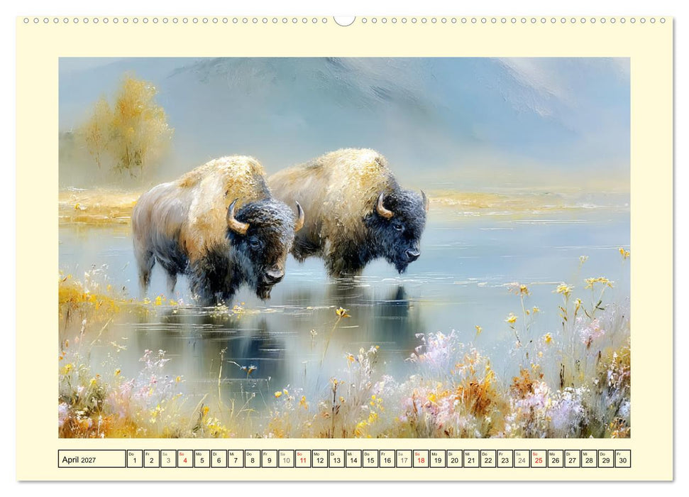 Bisons. Nordamerikas gewaltige Wildrinder (CALVENDO Premium Wandkalender 2027)