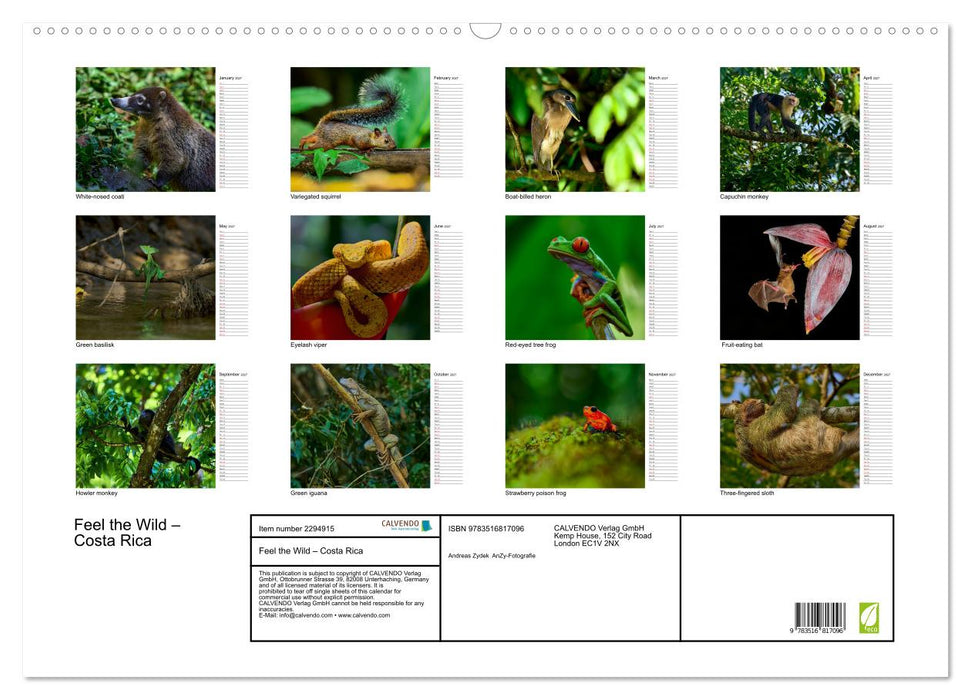Feel the Wild – Costa Rica (CALVENDO Monthly Calendar 2027)
