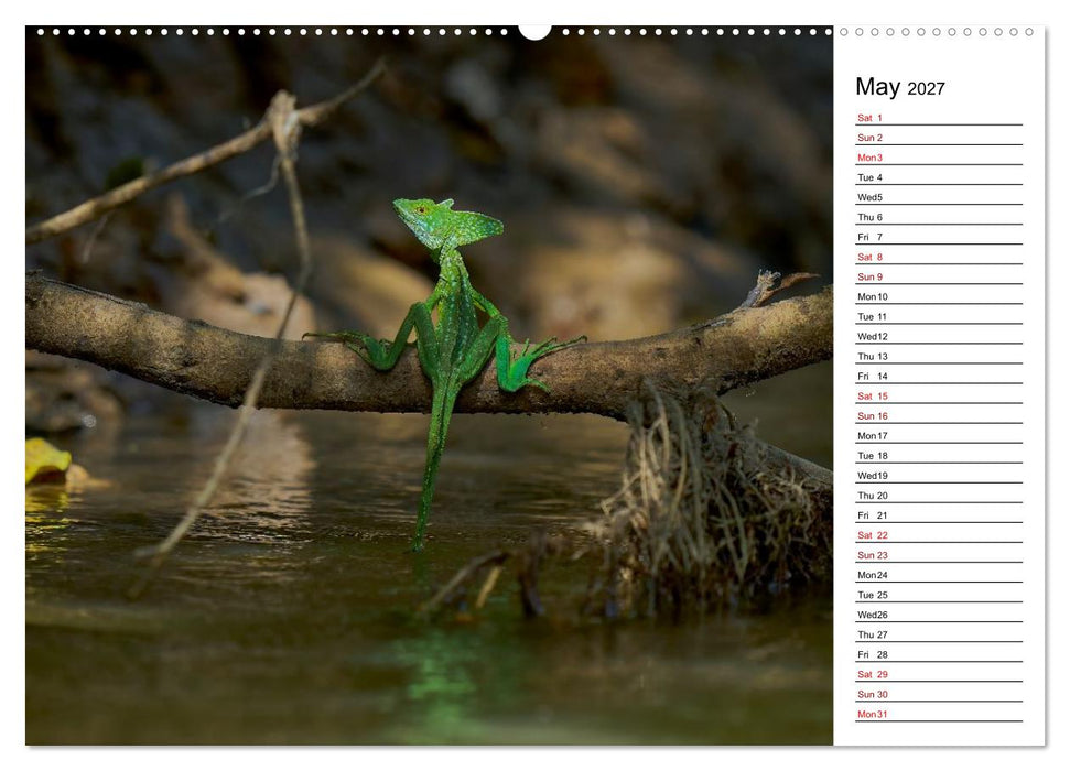 Feel the Wild – Costa Rica (CALVENDO Monthly Calendar 2027)