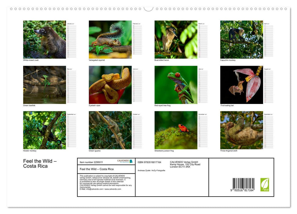 Feel the Wild – Costa Rica (CALVENDO Premium-Calendar 2027)