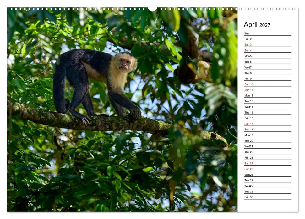 Feel the Wild – Costa Rica (CALVENDO Premium-Calendar 2027)