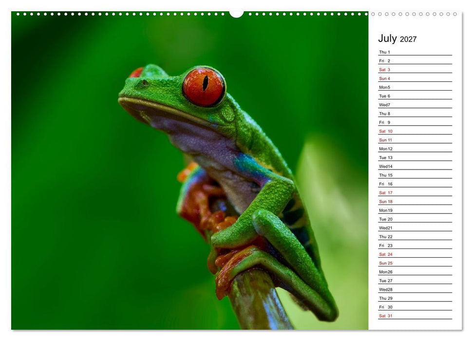 Feel the Wild – Costa Rica (CALVENDO Premium-Calendar 2027)