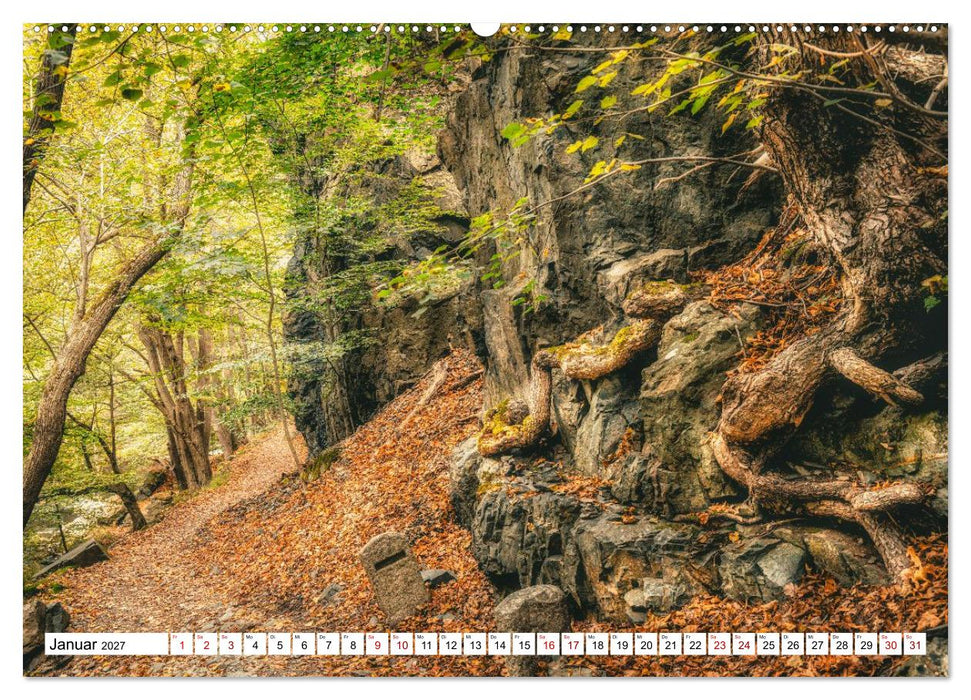 Nationalpark Harz - Mythen, Bergbau und Hexen (CALVENDO Wandkalender 2027)
