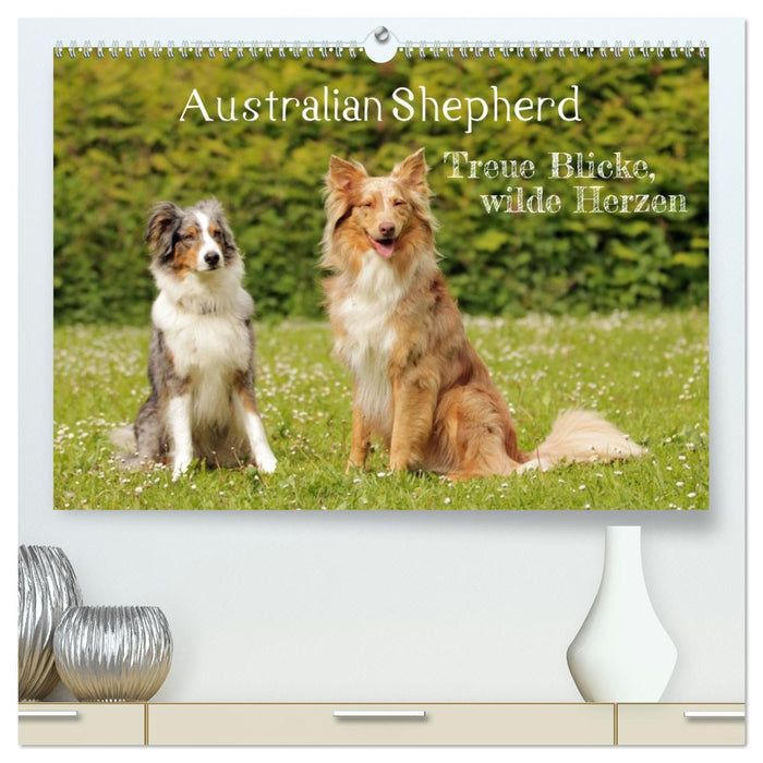 Australian Shepherd - Treue Blicke, wilde Herzen (CALVENDO Premium Wandkalender 2027)