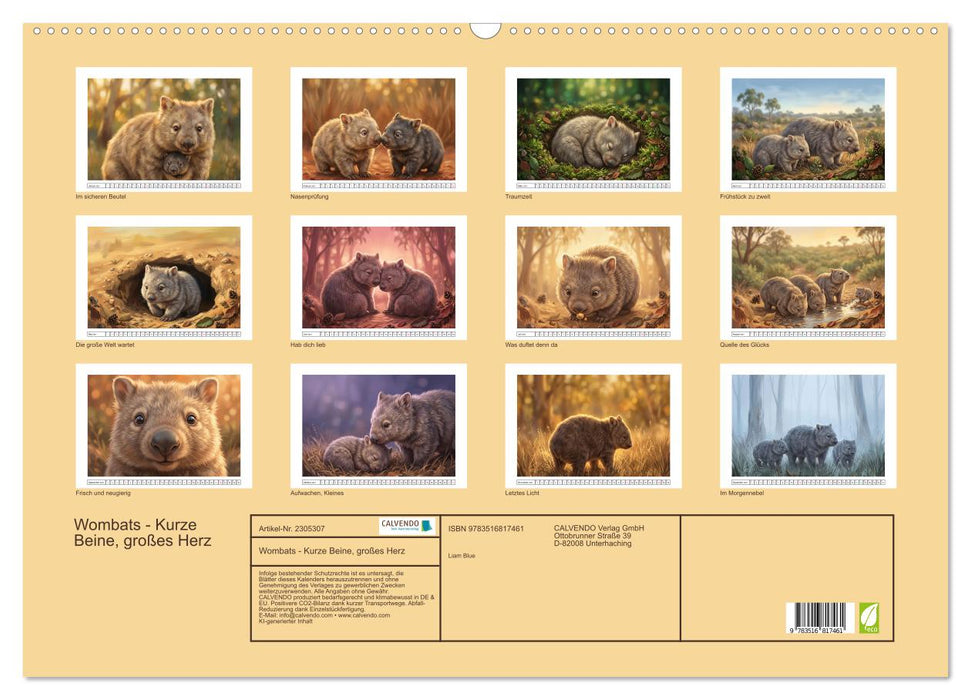 Wombats - Kurze Beine, großes Herz (CALVENDO Wandkalender 2027)