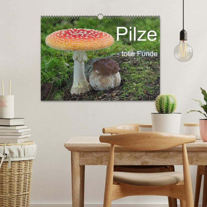 Pilze - tolle Funde (CALVENDO Wandkalender 2027)
