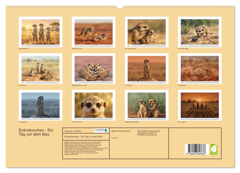 Erdmännchen - Ein Tag vor dem Bau (CALVENDO Premium Wandkalender 2027)
