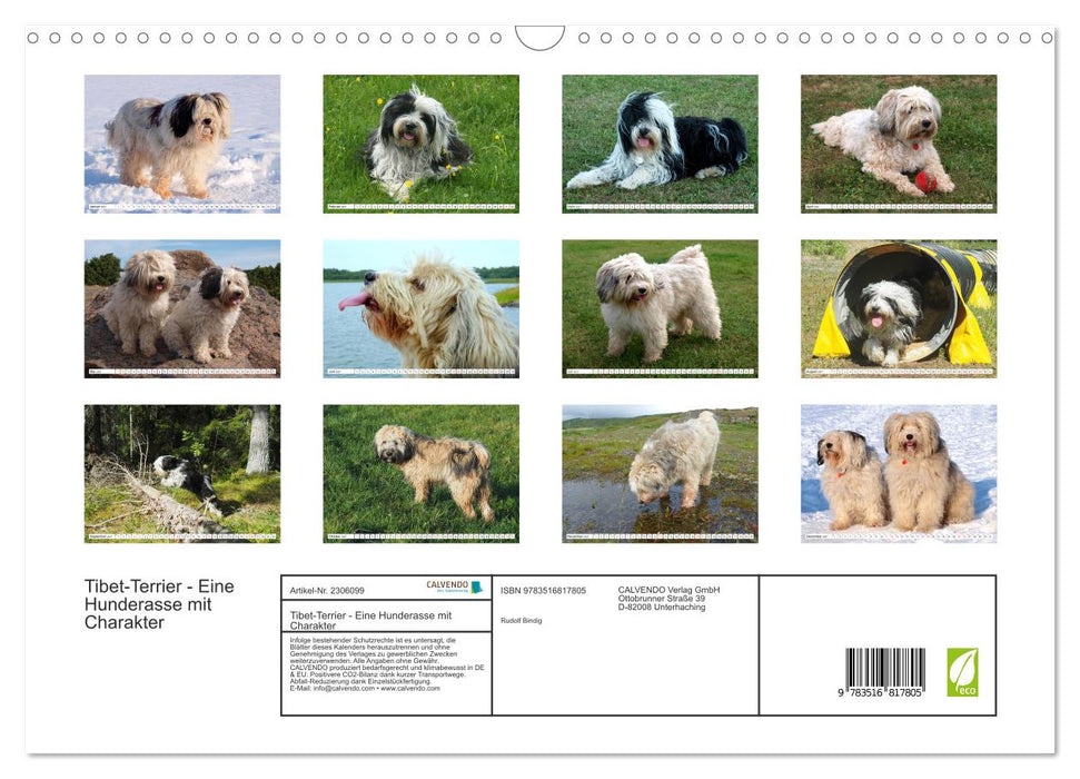 Tibet-Terrier - Eine Hunderasse mit Charakter (CALVENDO Wandkalender 2027)