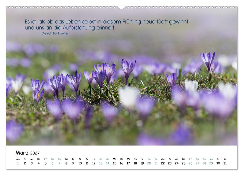 Christliche Bildpoesie 2027 (CALVENDO Wandkalender 2027)