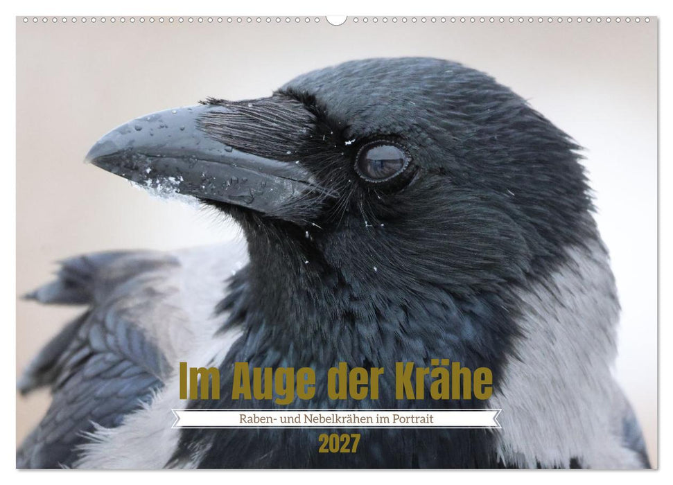 Im Auge der Krähe (CALVENDO Wandkalender 2027)