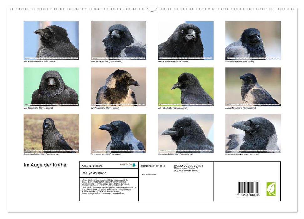 Im Auge der Krähe (CALVENDO Premium Wandkalender 2027)
