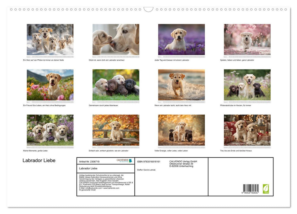 Labrador Liebe (CALVENDO Wandkalender 2027)