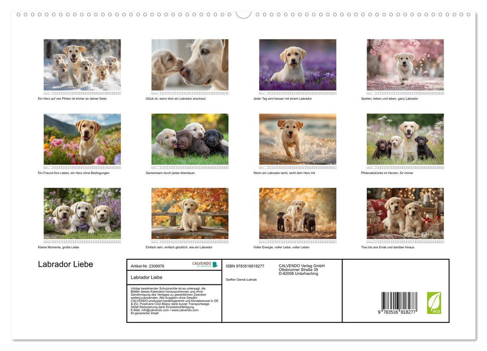 Labrador Liebe (CALVENDO Premium Wandkalender 2027)