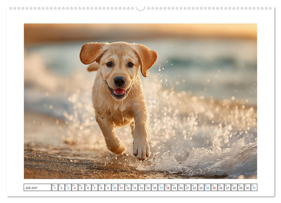 Labrador Liebe (CALVENDO Premium Wandkalender 2027)