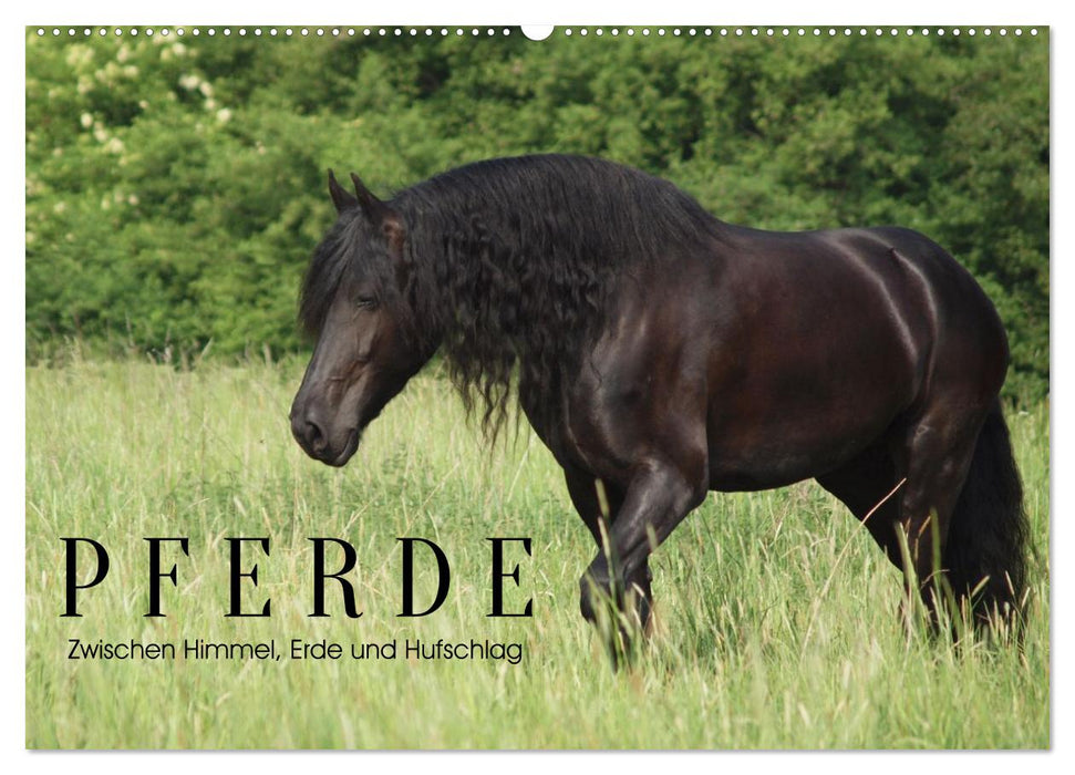 PFERDE - Zwischen Himmel, Erde und Hufschlag (CALVENDO Wandkalender 2027)