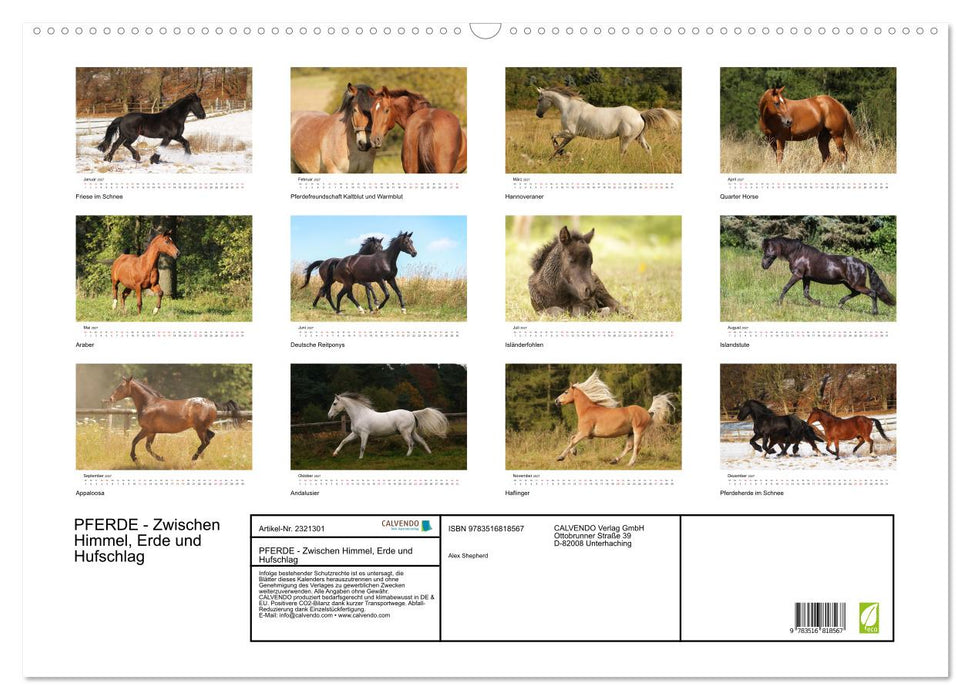 PFERDE - Zwischen Himmel, Erde und Hufschlag (CALVENDO Wandkalender 2027)