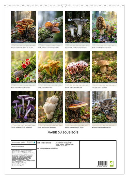 MAGIE DU SOUS-BOIS (CALVENDO Calendrier mensuel 2027)