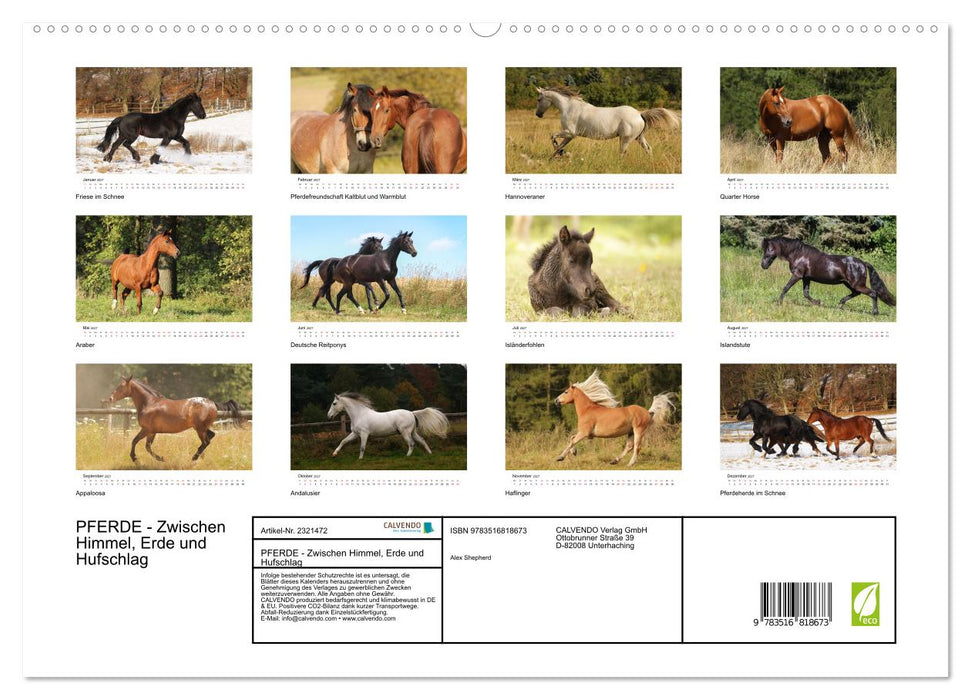 PFERDE - Zwischen Himmel, Erde und Hufschlag (CALVENDO Premium Wandkalender 2027)