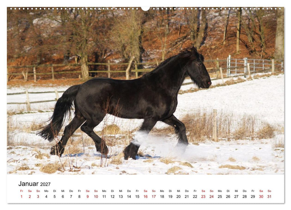 PFERDE - Zwischen Himmel, Erde und Hufschlag (CALVENDO Premium Wandkalender 2027)