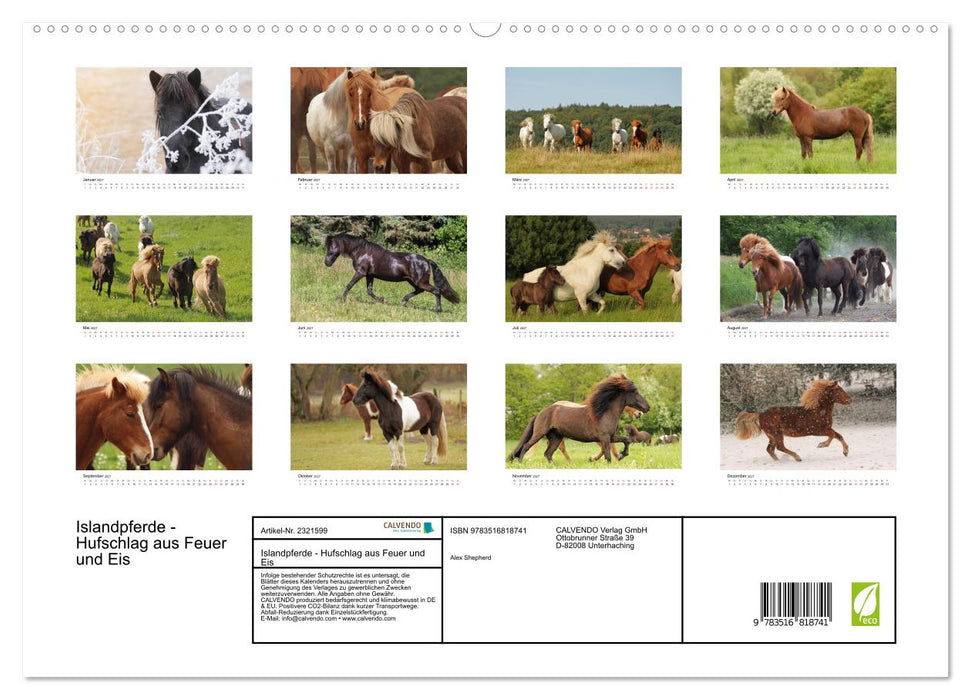 Islandpferde - Hufschlag aus Feuer und Eis (CALVENDO Premium Wandkalender 2027)