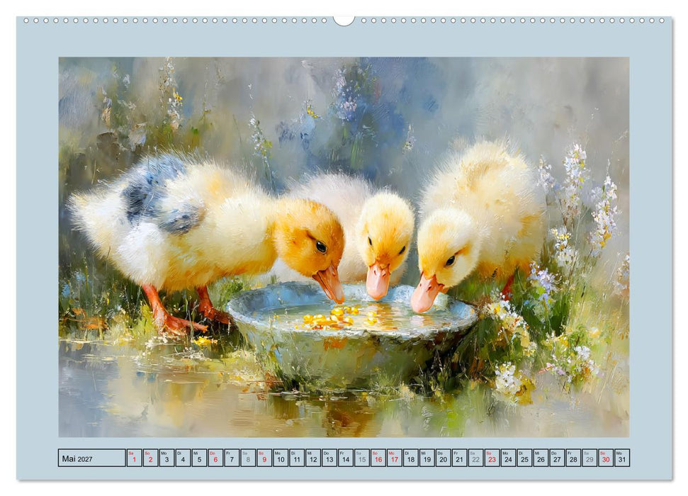 Zwergenten. Bezaubernde Schreihälse in der Natur (CALVENDO Wandkalender 2027)