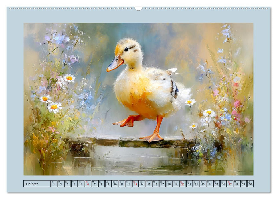 Zwergenten. Bezaubernde Schreihälse in der Natur (CALVENDO Wandkalender 2027)