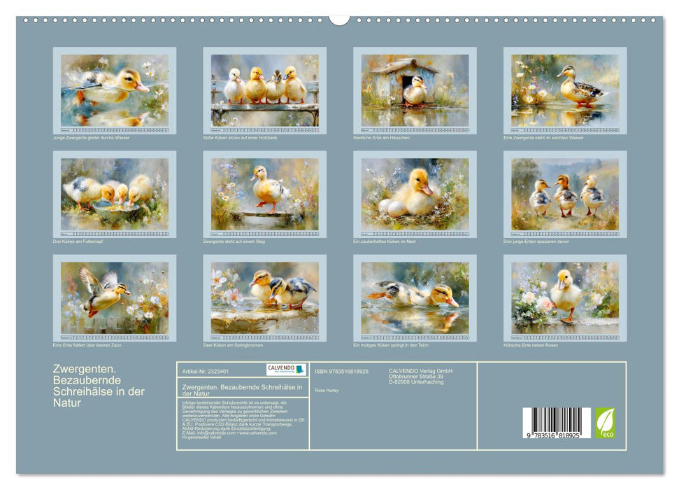 Zwergenten. Bezaubernde Schreihälse in der Natur (CALVENDO Premium Wandkalender 2027)