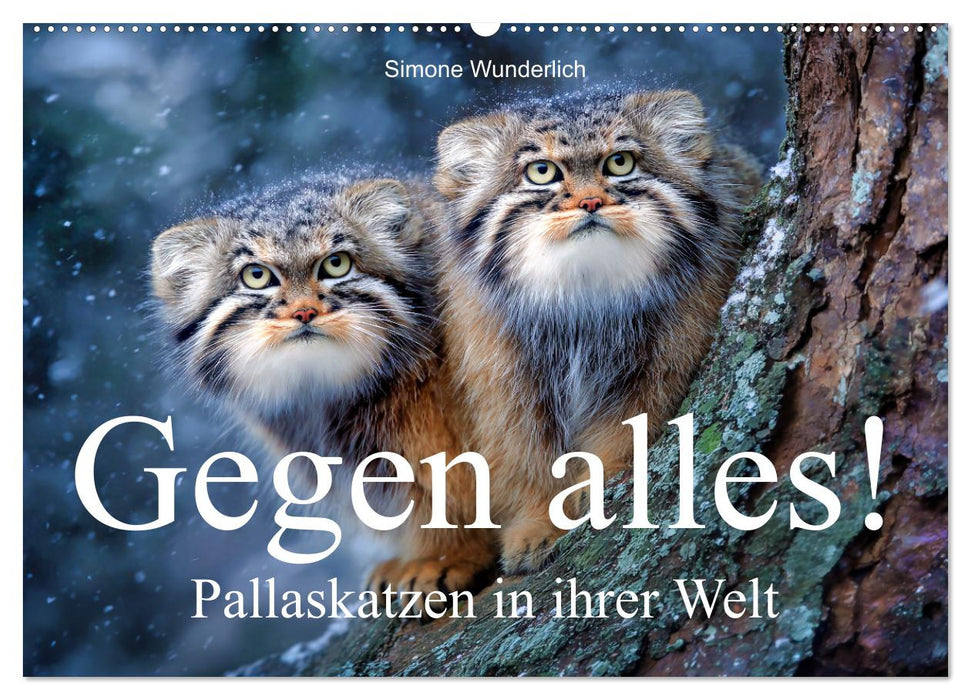 Gegen alles! - Pallaskatzen in ihrer Welt (CALVENDO Wandkalender 2027)