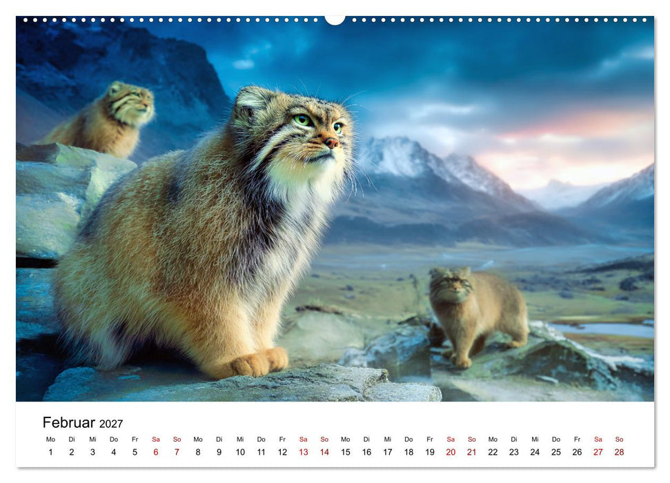 Gegen alles! - Pallaskatzen in ihrer Welt (CALVENDO Premium Wandkalender 2027)