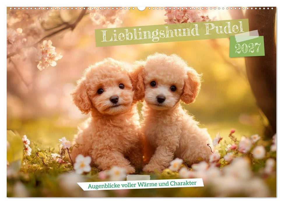 Lieblingshund Pudel (CALVENDO Wandkalender 2027)