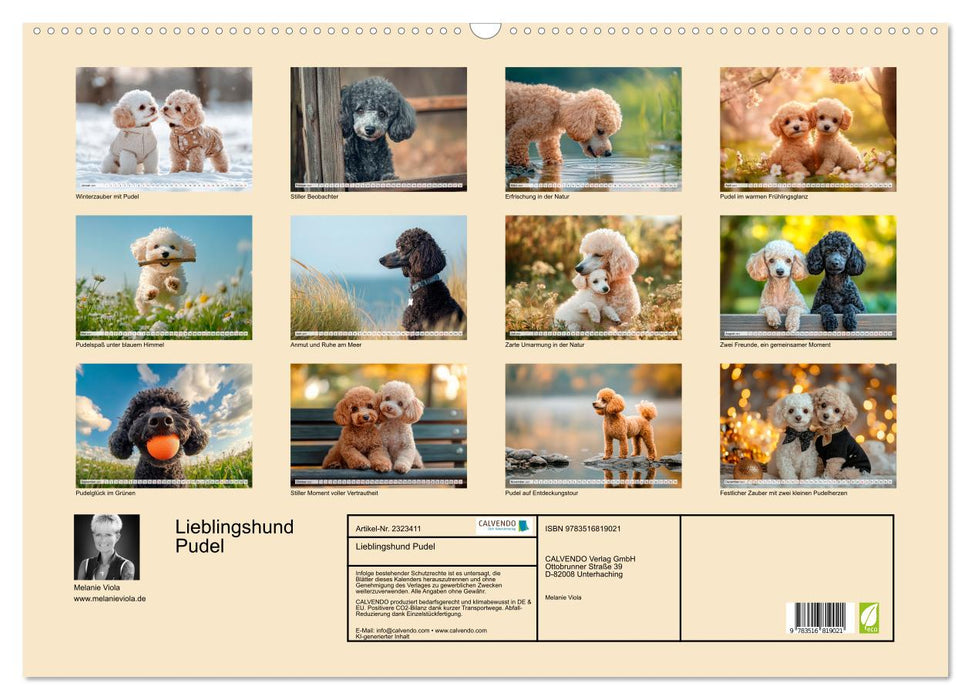 Lieblingshund Pudel (CALVENDO Wandkalender 2027)
