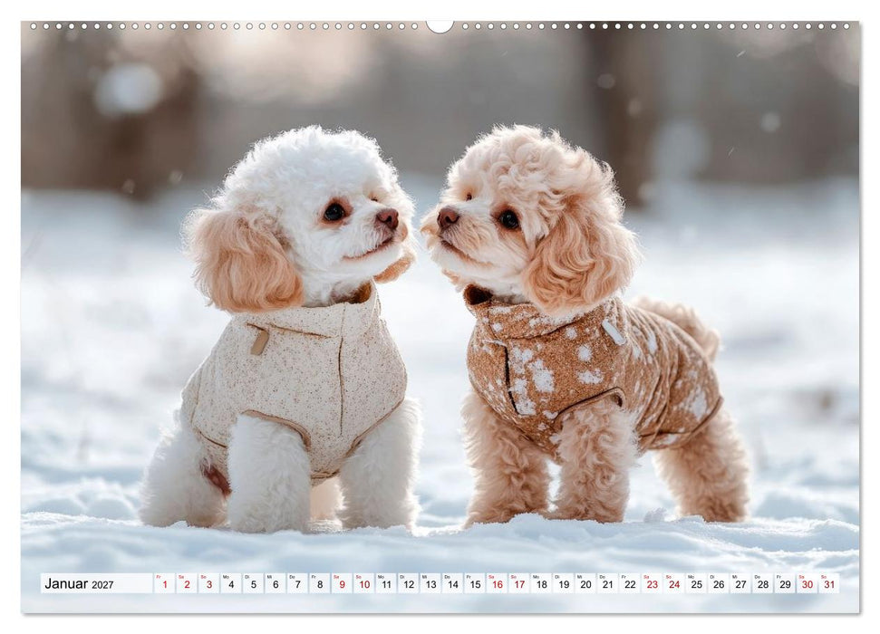 Lieblingshund Pudel (CALVENDO Wandkalender 2027)