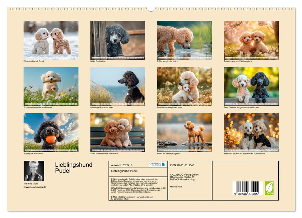Lieblingshund Pudel (CALVENDO Premium Wandkalender 2027)