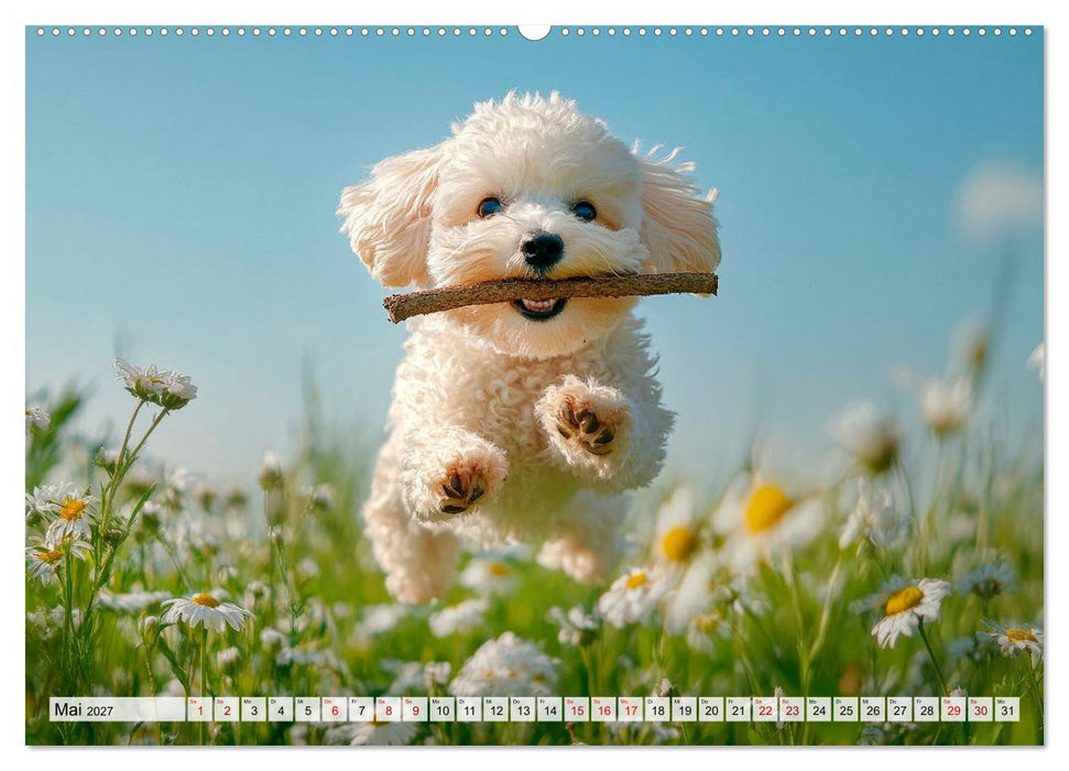 Lieblingshund Pudel (CALVENDO Premium Wandkalender 2027)