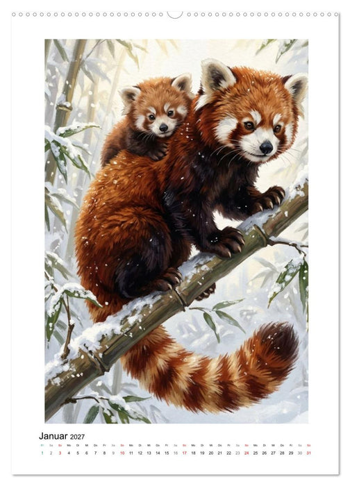 Rote Pandas – Pure Lebensfreude auf leisen Sohlen (CALVENDO Premium Wandkalender 2027)