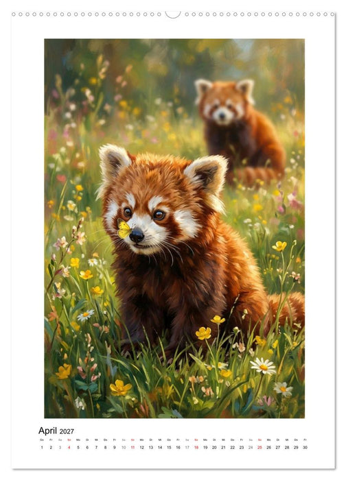 Rote Pandas – Pure Lebensfreude auf leisen Sohlen (CALVENDO Premium Wandkalender 2027)