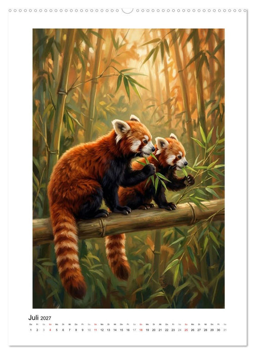 Rote Pandas – Pure Lebensfreude auf leisen Sohlen (CALVENDO Premium Wandkalender 2027)