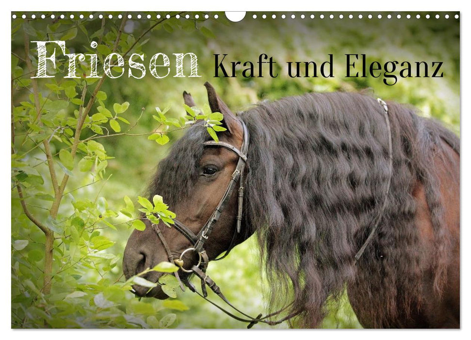 Friesen - Kraft und Eleganz (CALVENDO Wandkalender 2027)