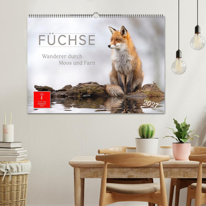 Füchse - Wanderer durch Moos und Farn (CALVENDO Wandkalender 2027)