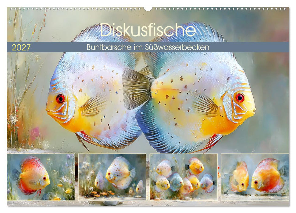 Diskusfische. Buntbarsche im Süßwasserbecken (CALVENDO Wandkalender 2027)