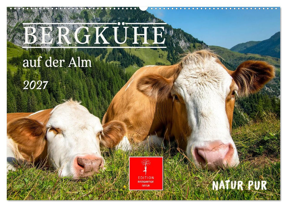 Bergkühe auf der Alm - Natur pur (CALVENDO Wandkalender 2027)