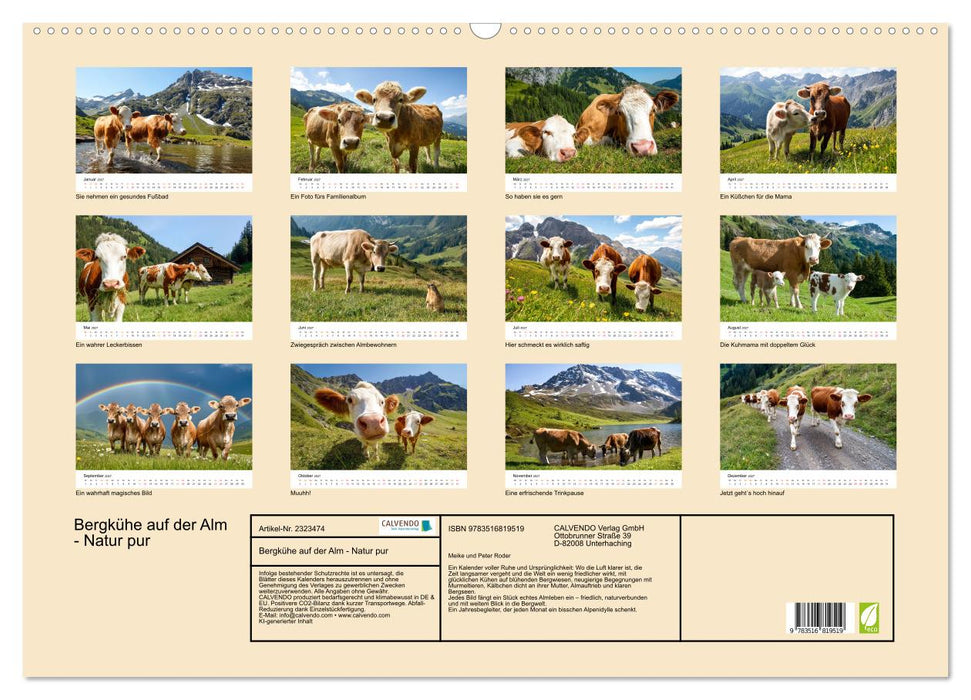 Bergkühe auf der Alm - Natur pur (CALVENDO Wandkalender 2027)
