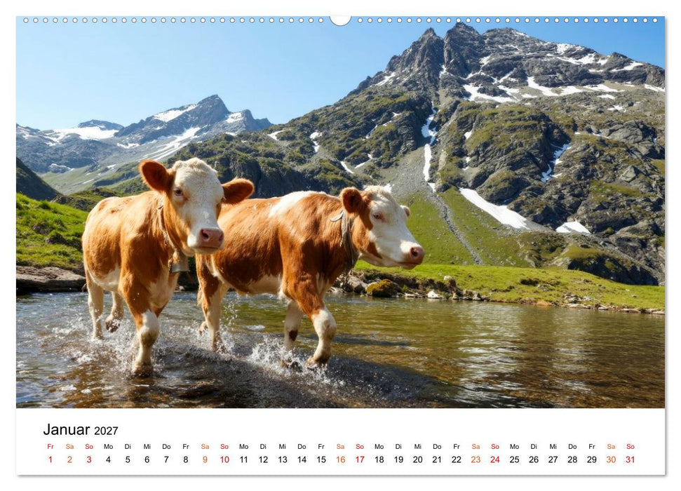 Bergkühe auf der Alm - Natur pur (CALVENDO Wandkalender 2027)