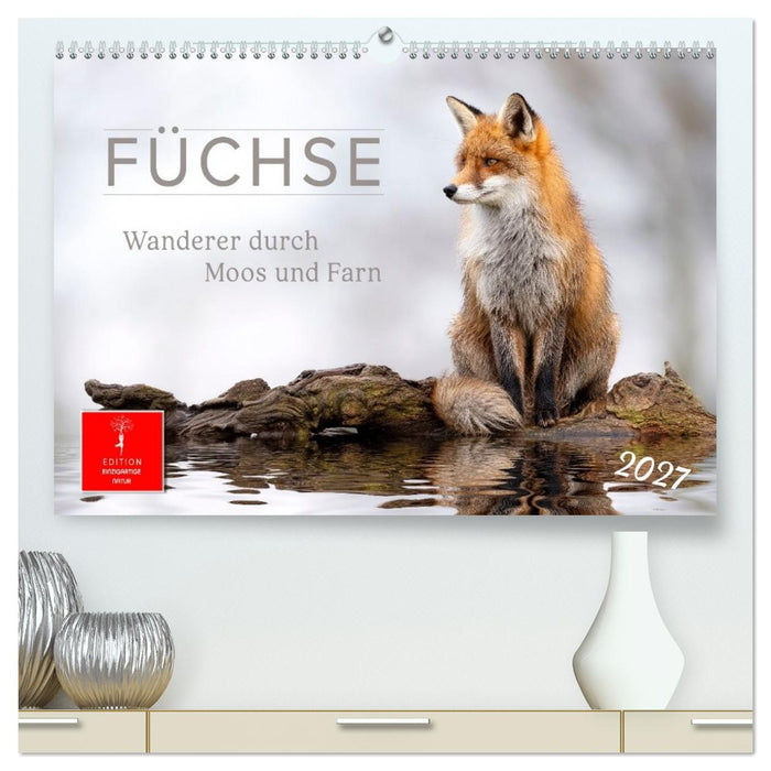 Füchse - Wanderer durch Moos und Farn (CALVENDO Premium Wandkalender 2027)