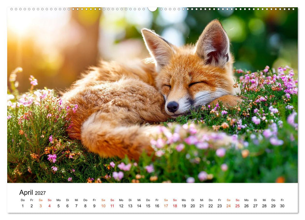 Füchse - Wanderer durch Moos und Farn (CALVENDO Premium Wandkalender 2027)