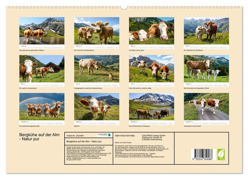 Bergkühe auf der Alm - Natur pur (CALVENDO Premium Wandkalender 2027)
