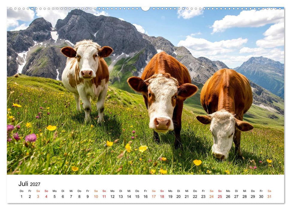 Bergkühe auf der Alm - Natur pur (CALVENDO Premium Wandkalender 2027)